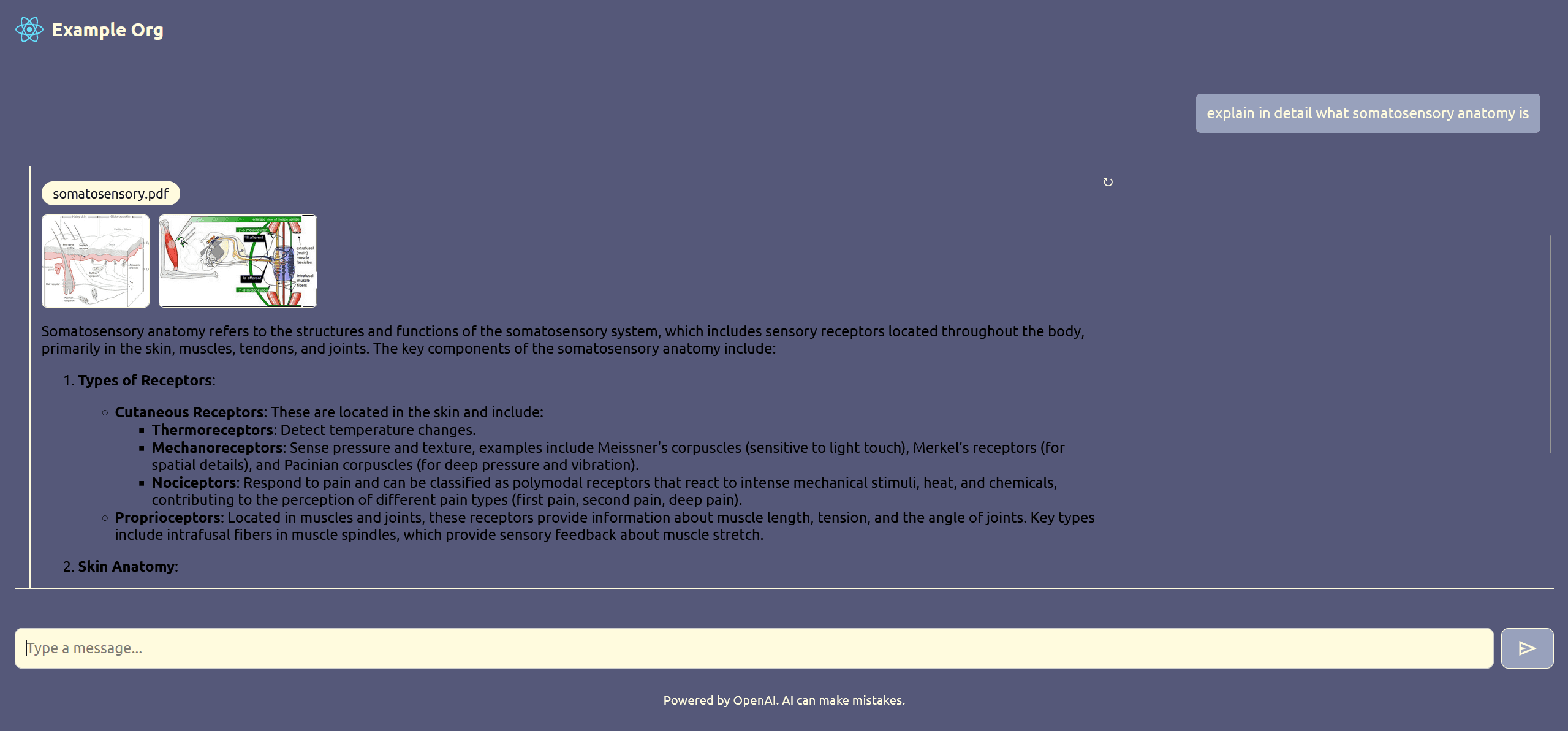 Project: Agentic RAG